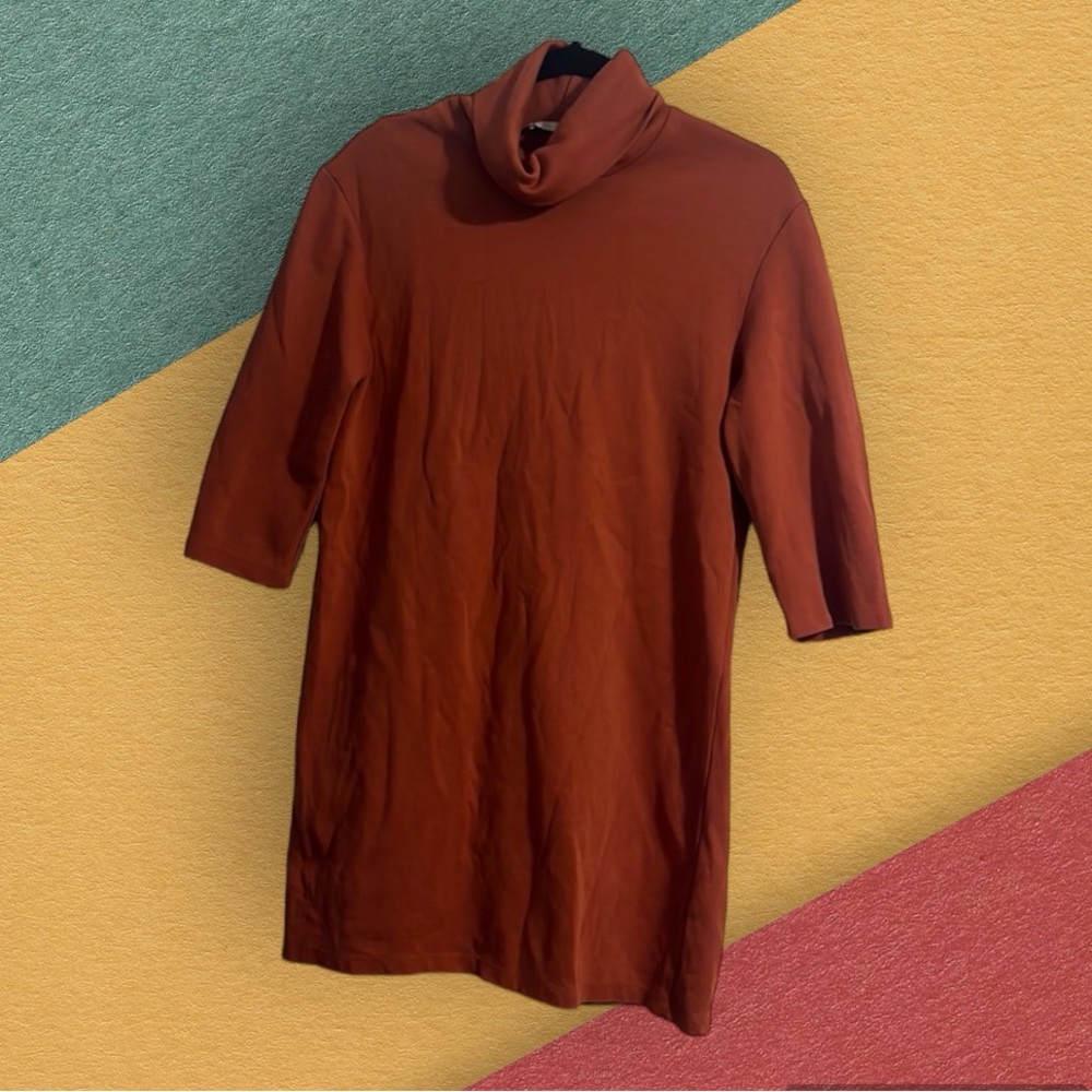 Burnt Orange Zara Dress